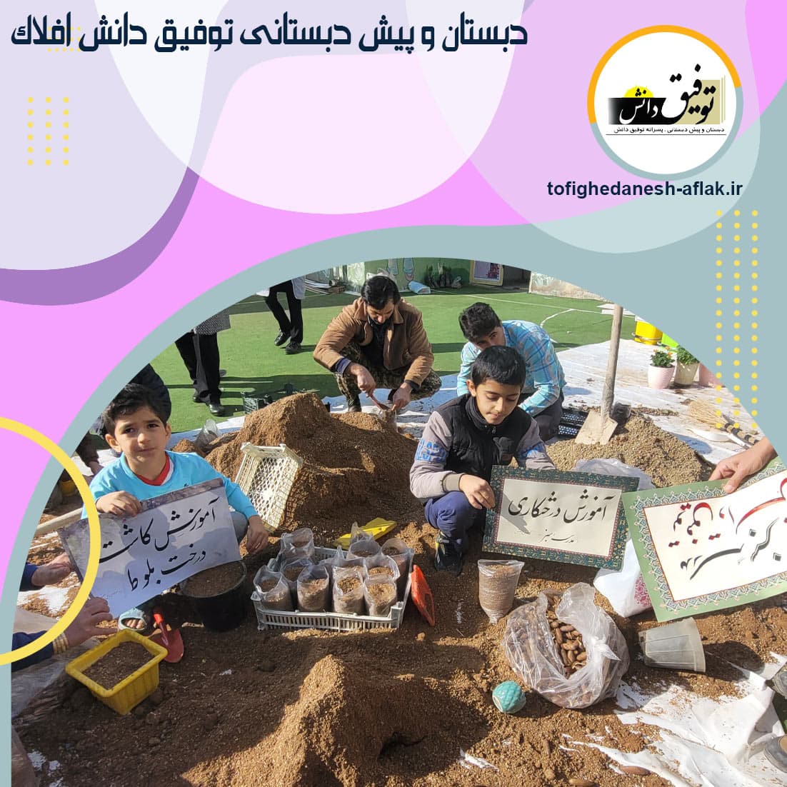 آموزش کاشت بلوط