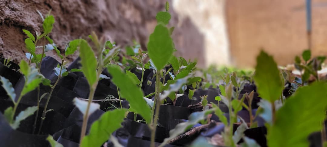 تصویر مقاله