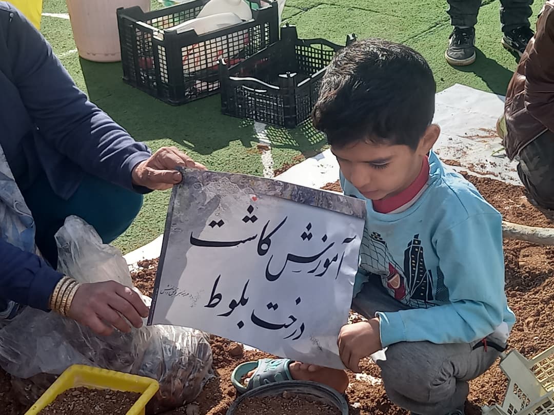 تصویر مقاله