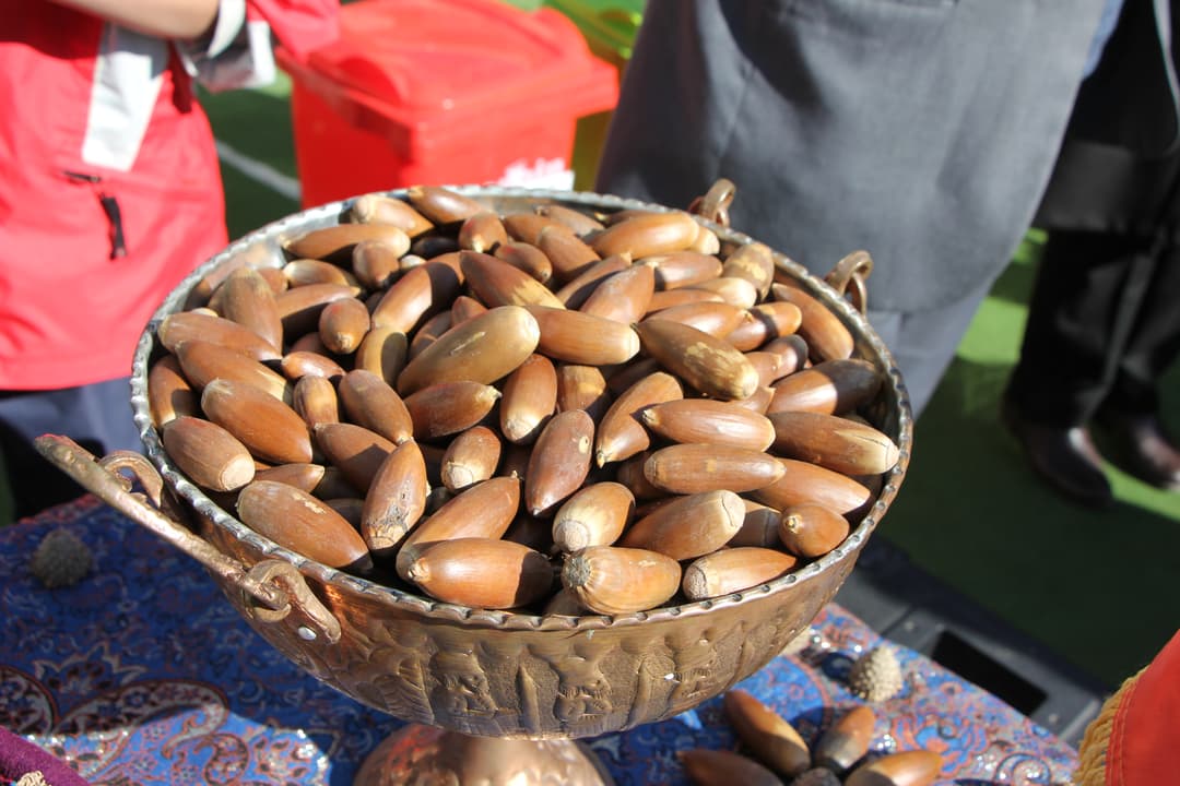 تصویر مقاله